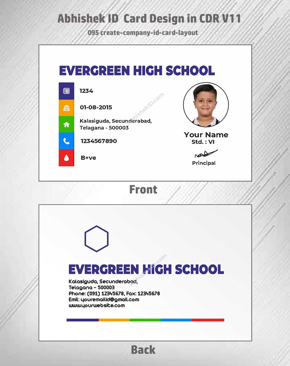 Company layout format of CorelDraw 11 ID Card Design Templates for corporate hierarchy identification.