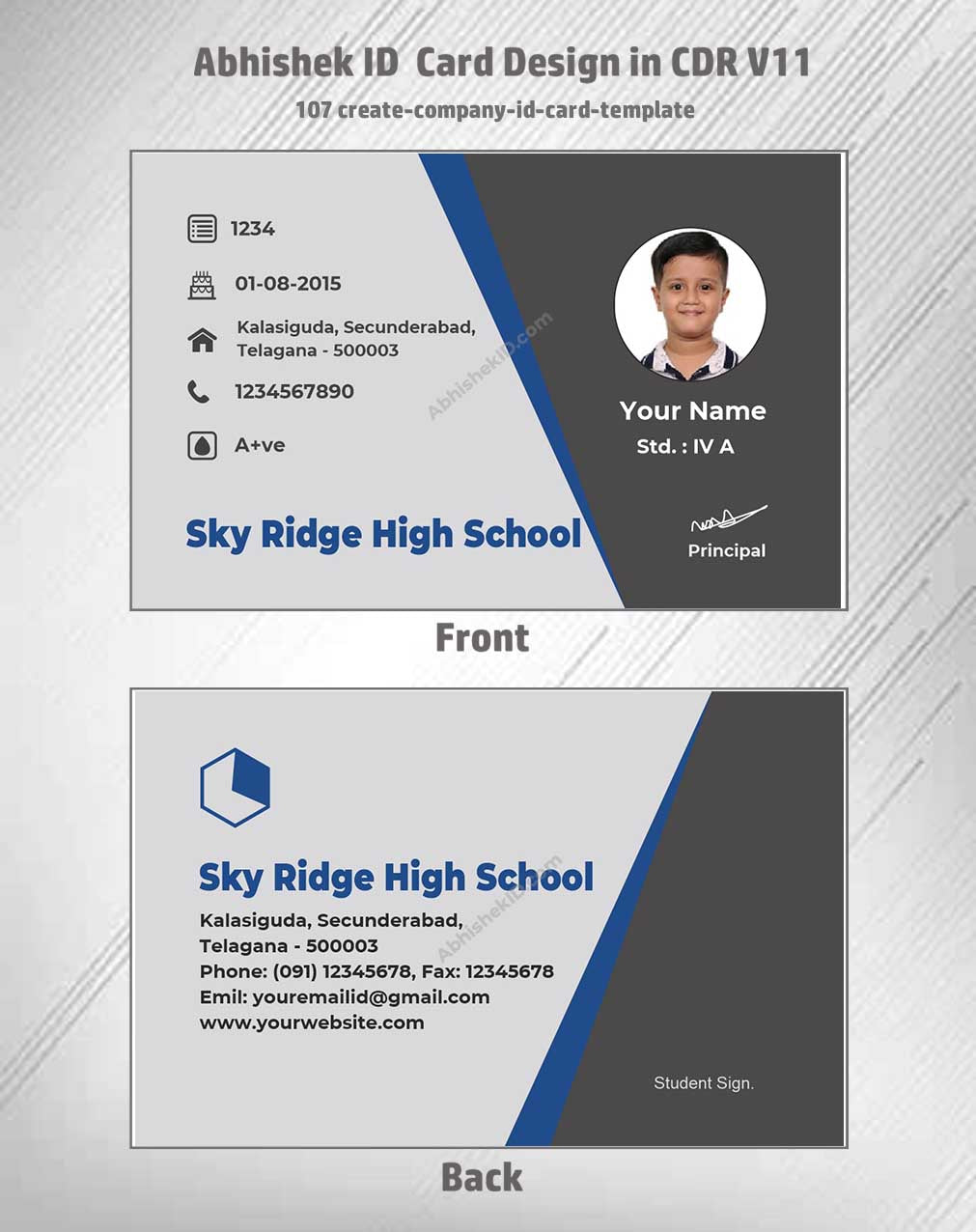 Digital preview of CorelDraw 11 ID Card Templates for employee badges in commercial ID printing.