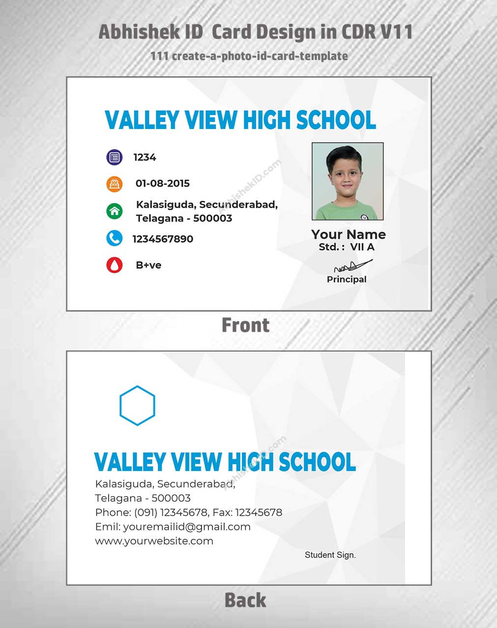 Digital preview of CorelDraw 11 ID Card Templates for employee badges in commercial ID printing.