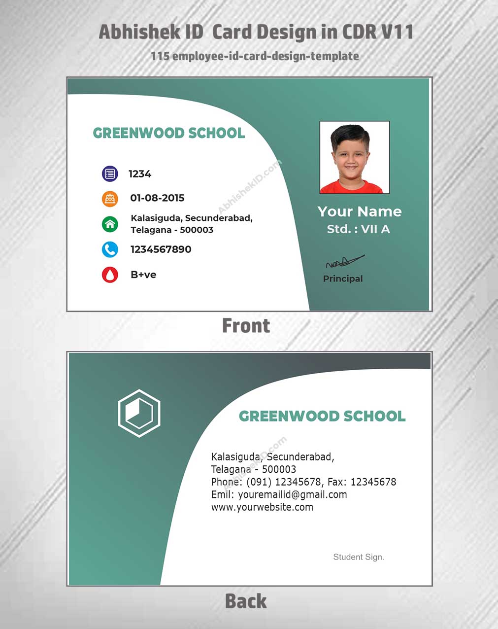 Digital preview of CorelDraw 11 ID Card Templates for employee badges in commercial ID printing.