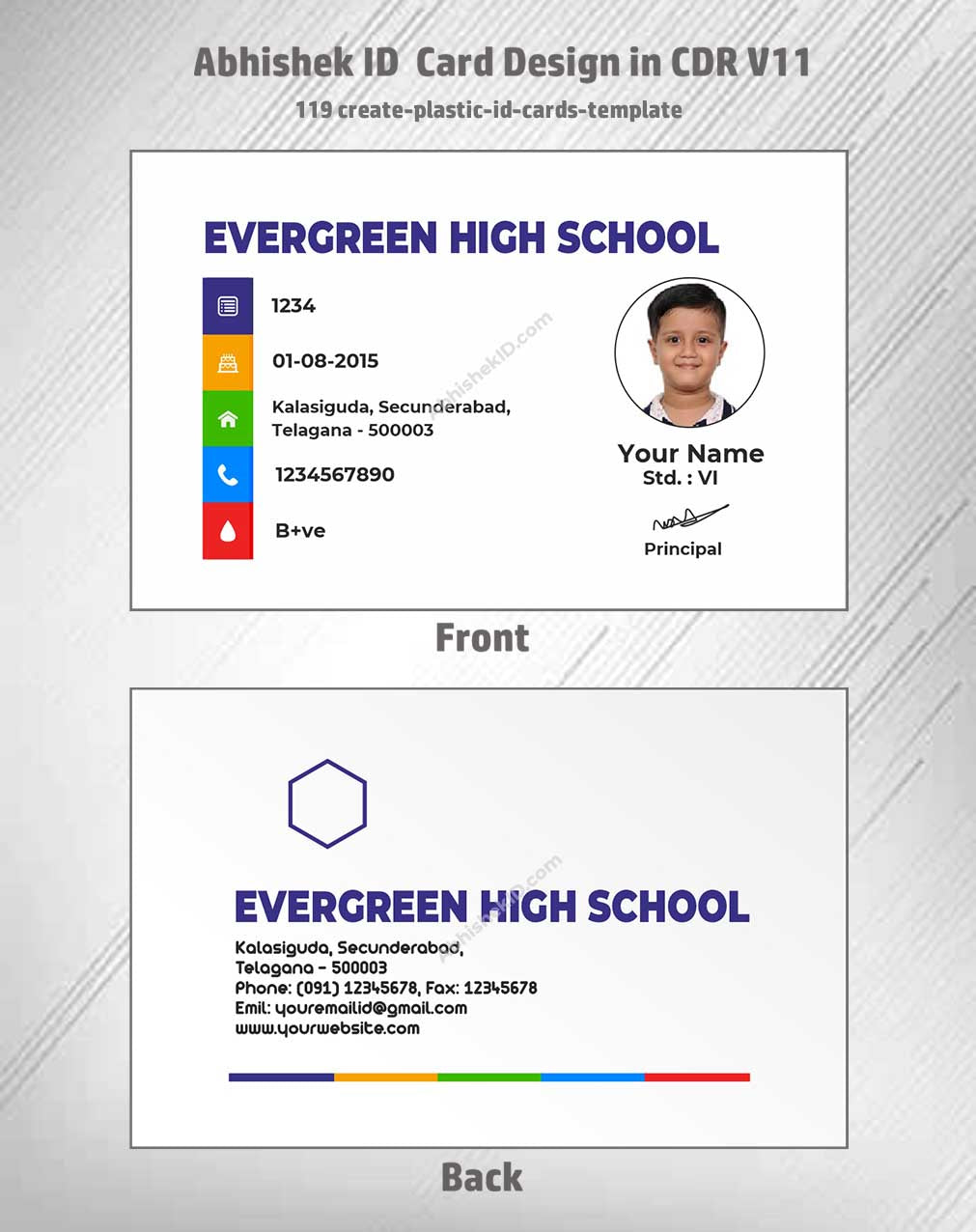 Digital preview of CorelDraw 11 ID Card Templates for employee badges in commercial ID printing.
