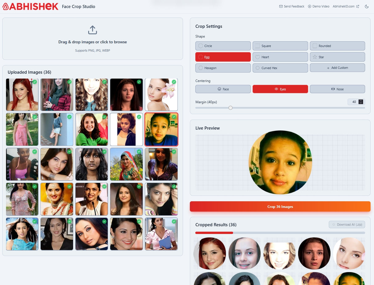 Face Crop Studio Batch Photo Cropper system for large scale employee database management and organization.