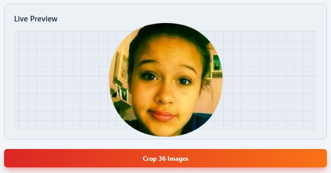 Face Crop Studio Batch Photo Cropper egg shape masking tool for official passport photo generation.