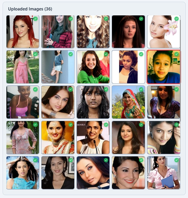 Face Crop Studio Batch Photo Cropper grid sorting mechanism for bulk photo studio processing lines.
