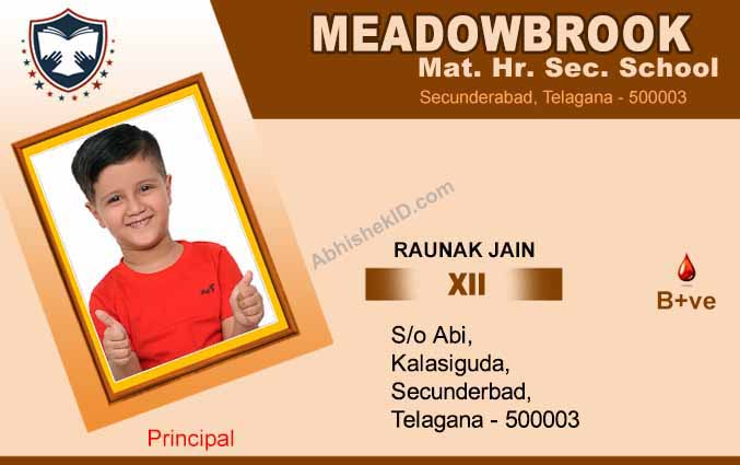 High-quality PVC ID card template, fully customizable and professional
