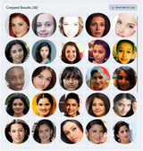 Face Crop Studio - Unlimited Use Batch Photo Cropper for 1 Year